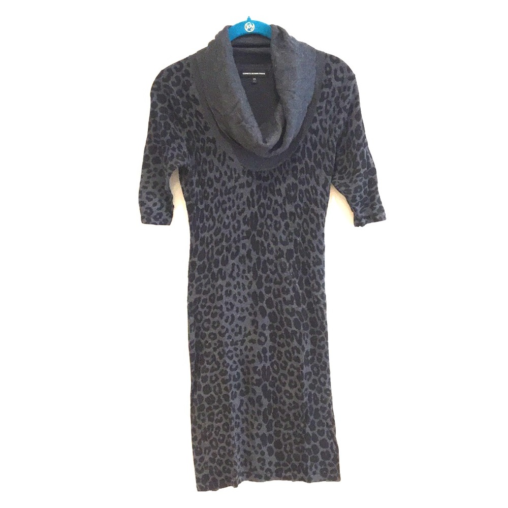 Express Leopard Print Sweater Dress